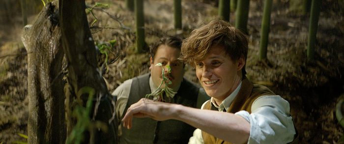 FANTASTIC BEASTS AND WHERE TO FIND THEM