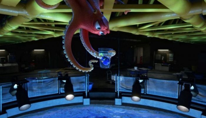 Hledá se Dory (foto: Falcon)