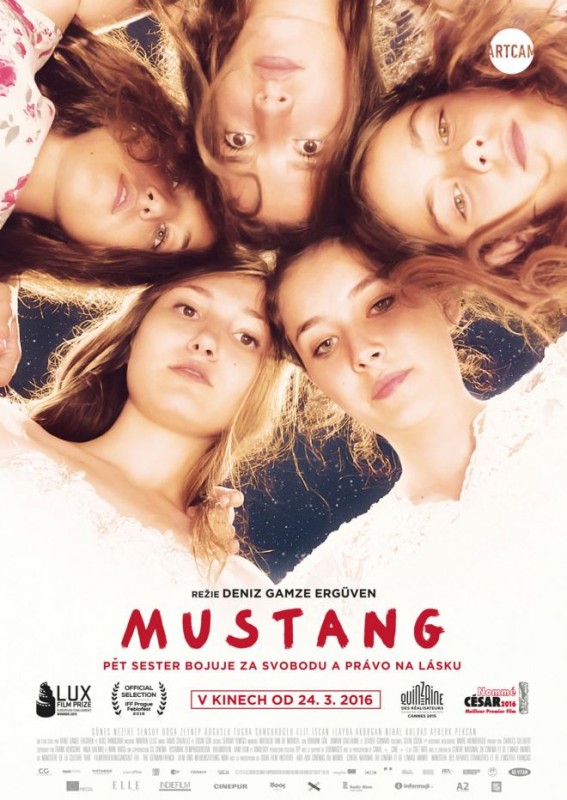 Mustang-cz-poster