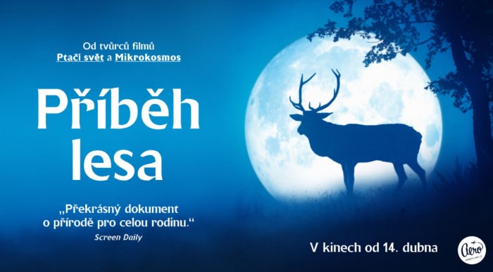 Příběh lesa