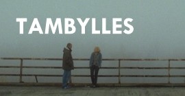 TAMbylles