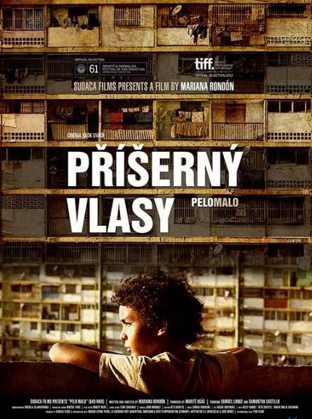 příšerný vlasy poster