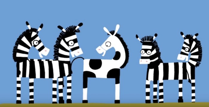 zebra